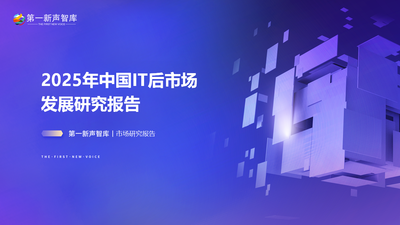 2025年中国IT后市场发展研究报告